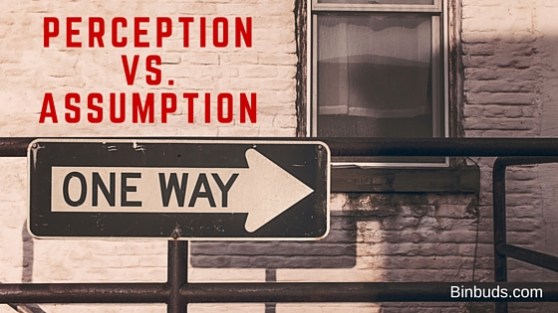 Perceptionvs.assumption