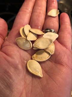 pumpkin seeds hand